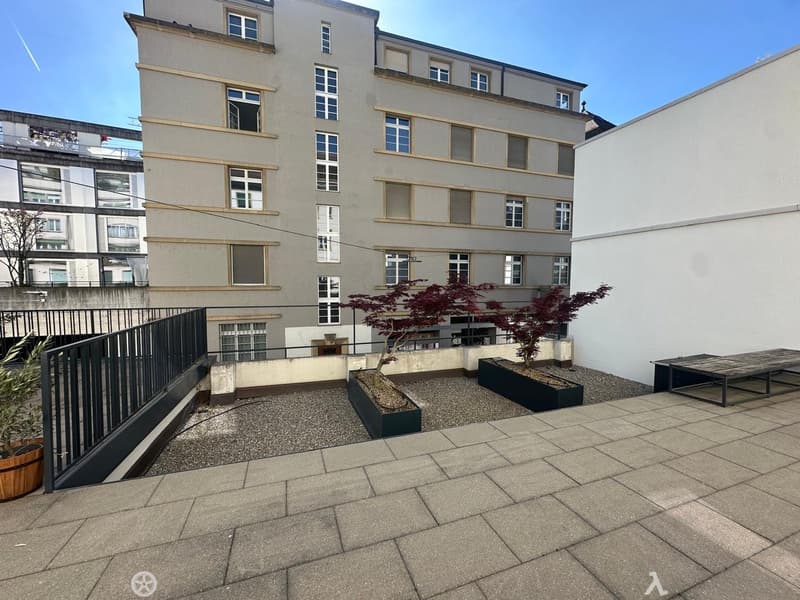 Einzigartige Terrassenwohnung im Herzen von Biel (4)