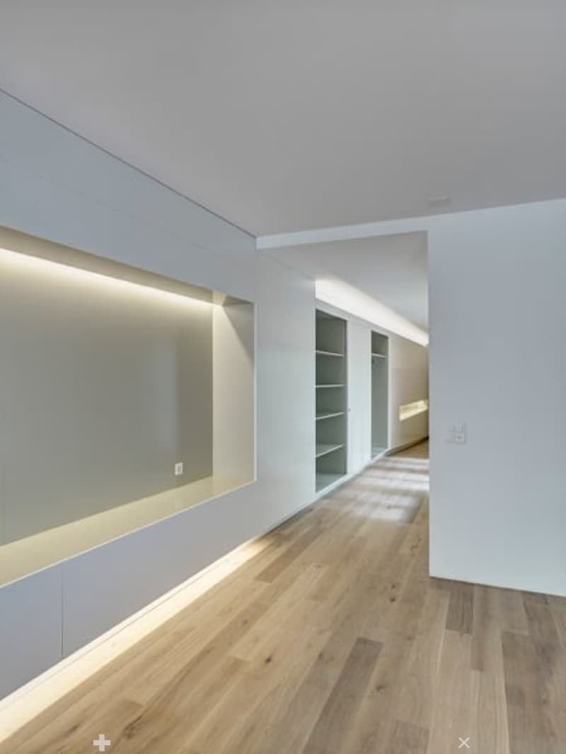 Einzigartige Terrassenwohnung im Herzen von Biel (5)