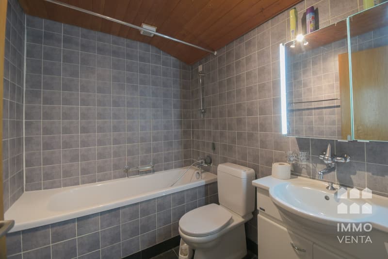 Landschaftsblick  - 2.5-Zimmer-Dachgeschosswohnung in Schnottwil (5)