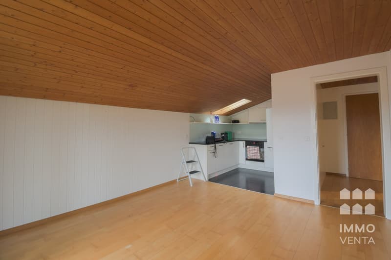 Landschaftsblick  - 2.5-Zimmer-Dachgeschosswohnung in Schnottwil (3)