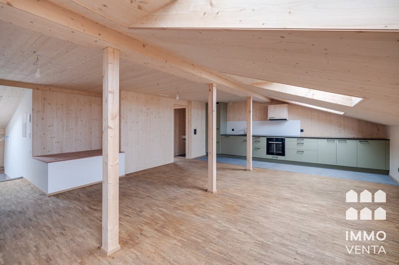 Exklusive 2.5-Zi.-Dachwohnung mit Terrasse in Biel | App. 2,5 pièces avec terrasse à Bienne (13)