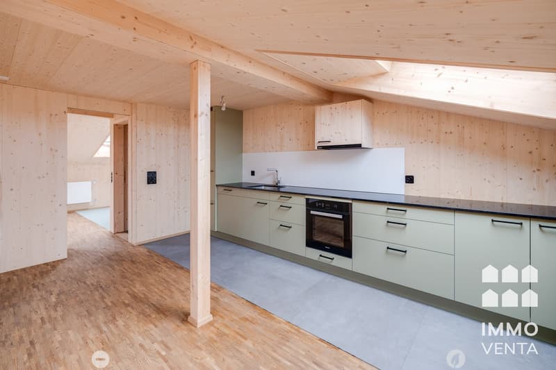 Exklusive 2.5-Zi.-Dachwohnung mit Terrasse in Biel | App. 2,5 pièces avec terrasse à Bienne (4)