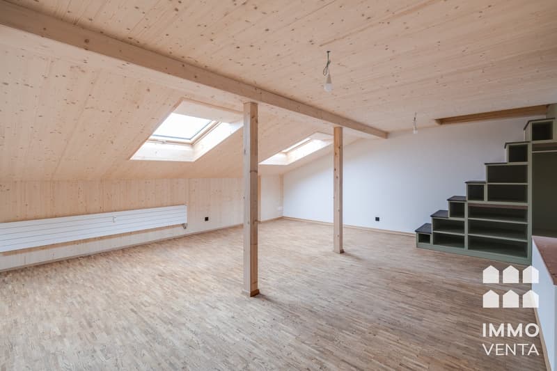 Exklusive 2.5-Zi.-Dachwohnung mit Terrasse in Biel | App. 2,5 pièces avec terrasse à Bienne (14)