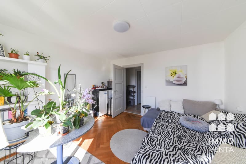 Grosszügige 3.5-Zimmer-Wohnung im 3. OG in Biel (7)