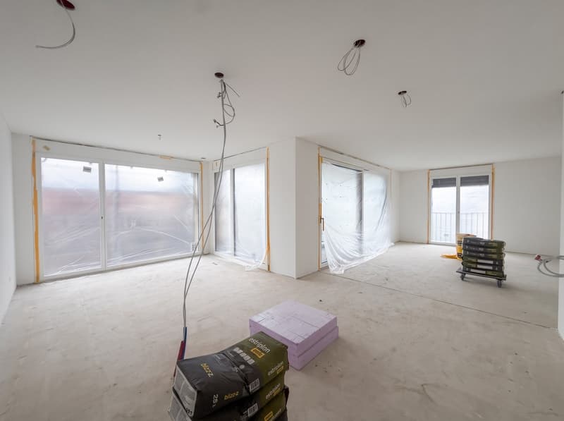 Grosszügige 3½ Zimmer Neubauwohnung / Spacieux appartement neuf de 3½ pièces (4)