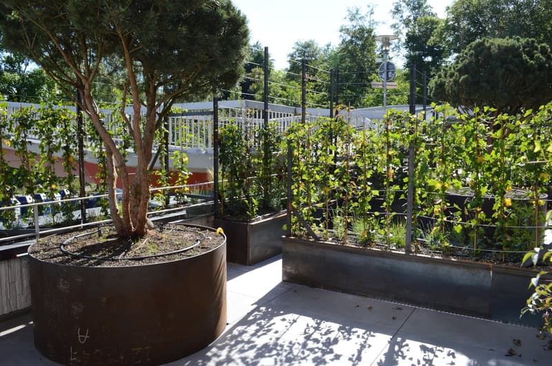 Moderne 1.5-Zimmer-Wohnung mit Gartenterrasse am Bucheggplatz, Erholungsgebiet mit Wald (8)