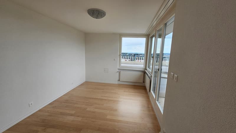 Moderne 3.5-Zimmer-Dachwohnung mit Stadtblick in Zürich am Bucheggplatz (17)