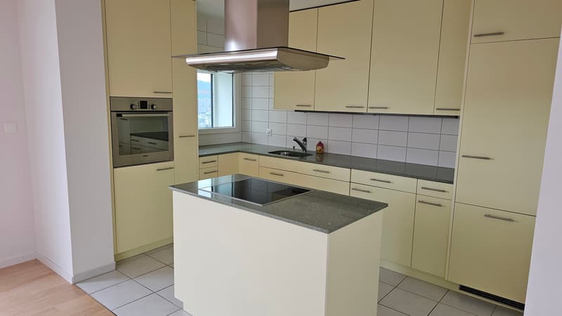 Moderne 3.5-Zimmer-Dachwohnung mit Stadtblick in Zürich am Bucheggplatz (5)