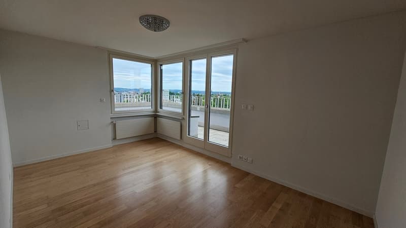 Gekühlte 3.5-Zimmer-Attikawohnung mit Blick über Zürich am Bucheggplatz (16)