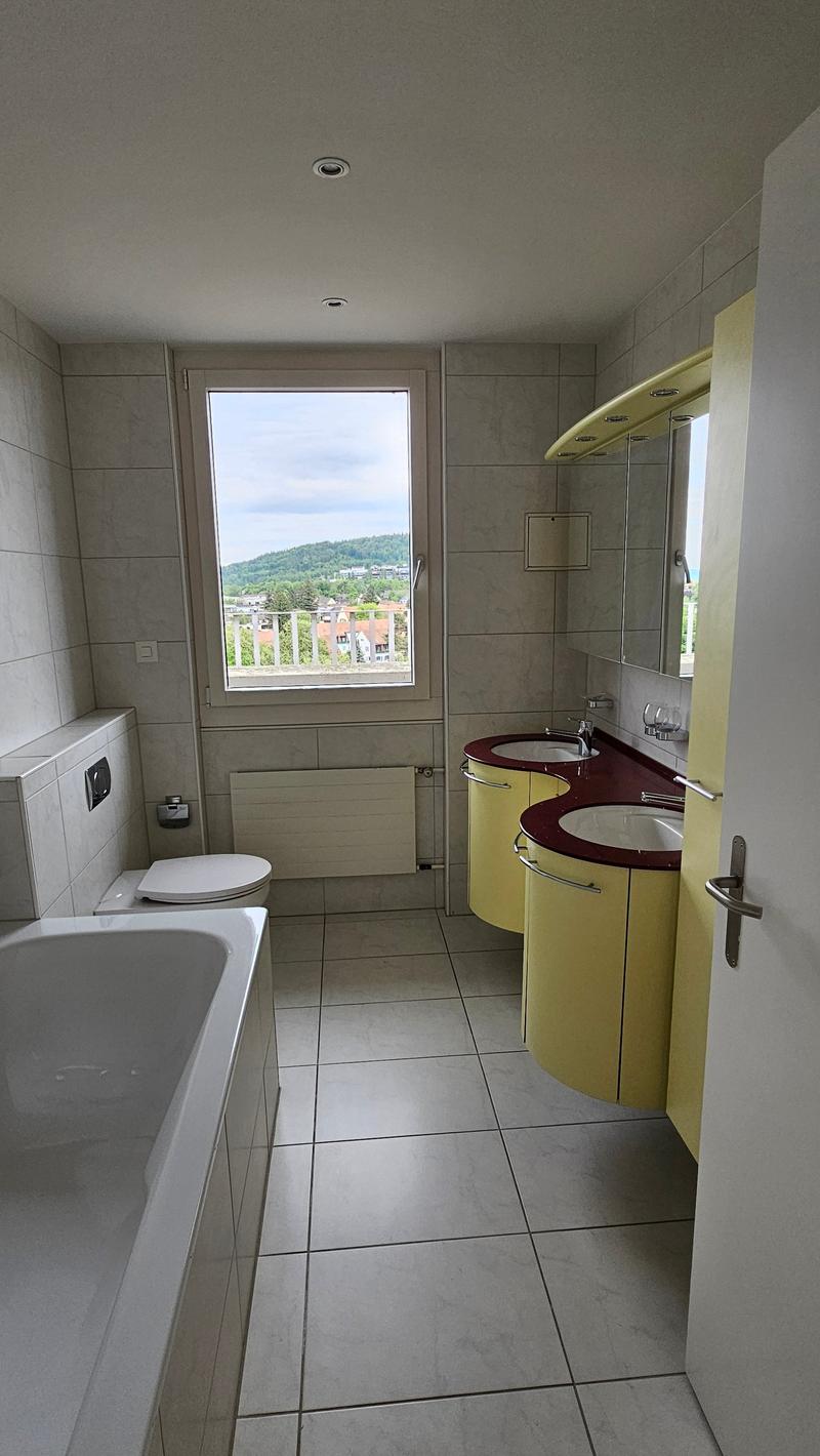 Gekühlte 3.5-Zimmer-Attikawohnung mit Blick über Zürich am Bucheggplatz (13)