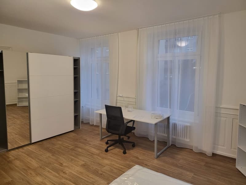 Grosses renoviertes möbliertes Zimmer Nähe Uni/ETH (12) (3)