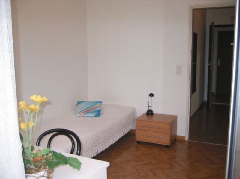 (27) Möbliertes Studio an ruhiger Lage, Nähe Uni / ETH (3)