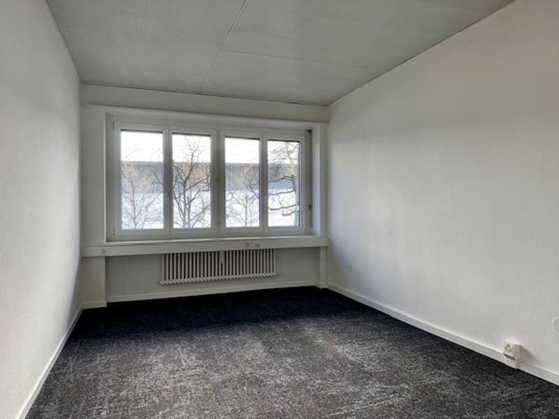 Modern office on Riehenstrasse in Basel – 3 rooms, 48.5 m², available immediately (1)