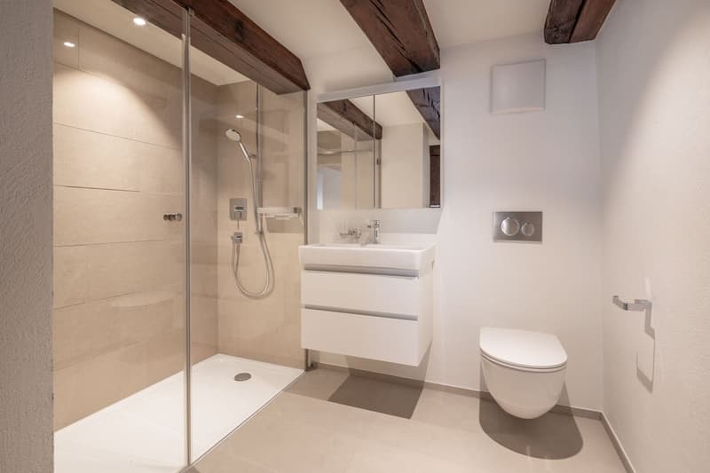 Charming 4.5-room old building apartment with balcony in Liestal – available immediately (3)