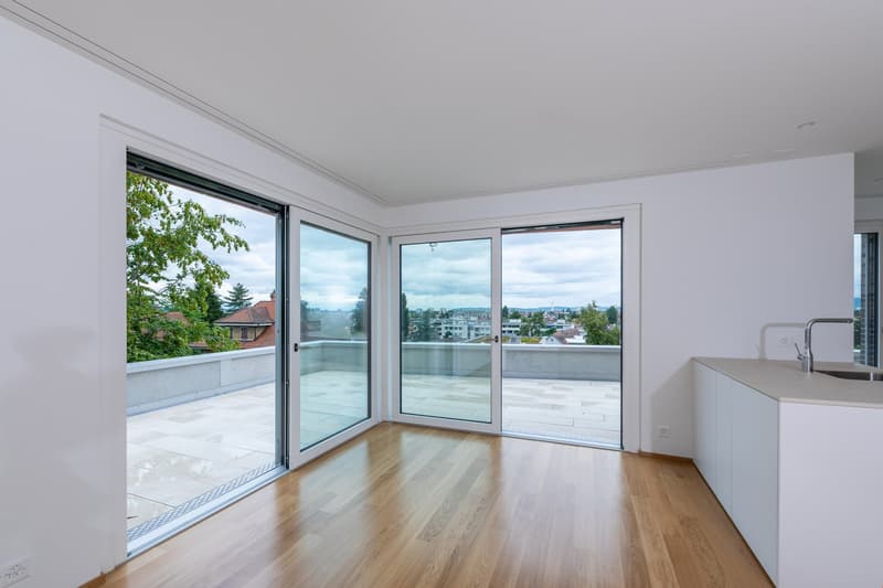 Charmante 3.5-Zimmer-Dachwohnung mit Panoramablick in Binningen (10)