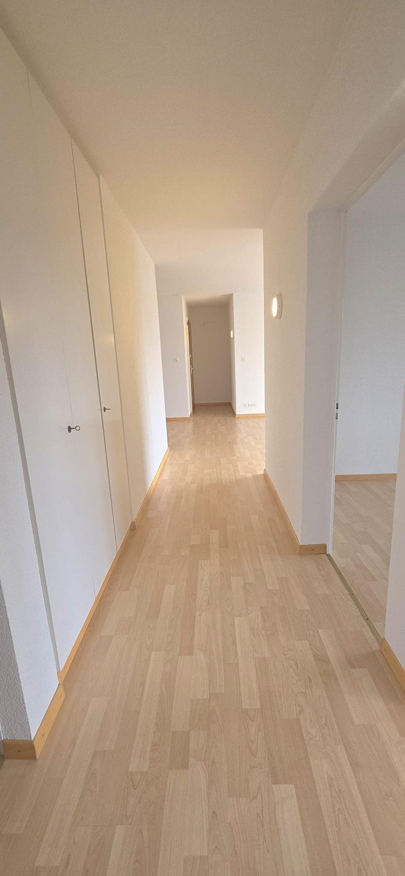 wooden floor, white walls, built-in closets, hallway light