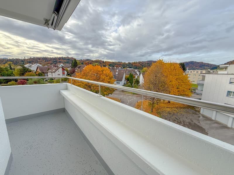Moderne 4.5-Zimmer Attikawohnung in kernsanierter Liegenschaft – Frühester Bezug ab 1. Dezember 2026 (13)