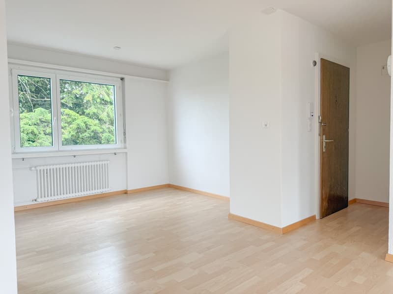 Charmante 4.5-Zimmer-Wohnung mit Balkon und schöner Aussicht in Rorschacherberg (7)
