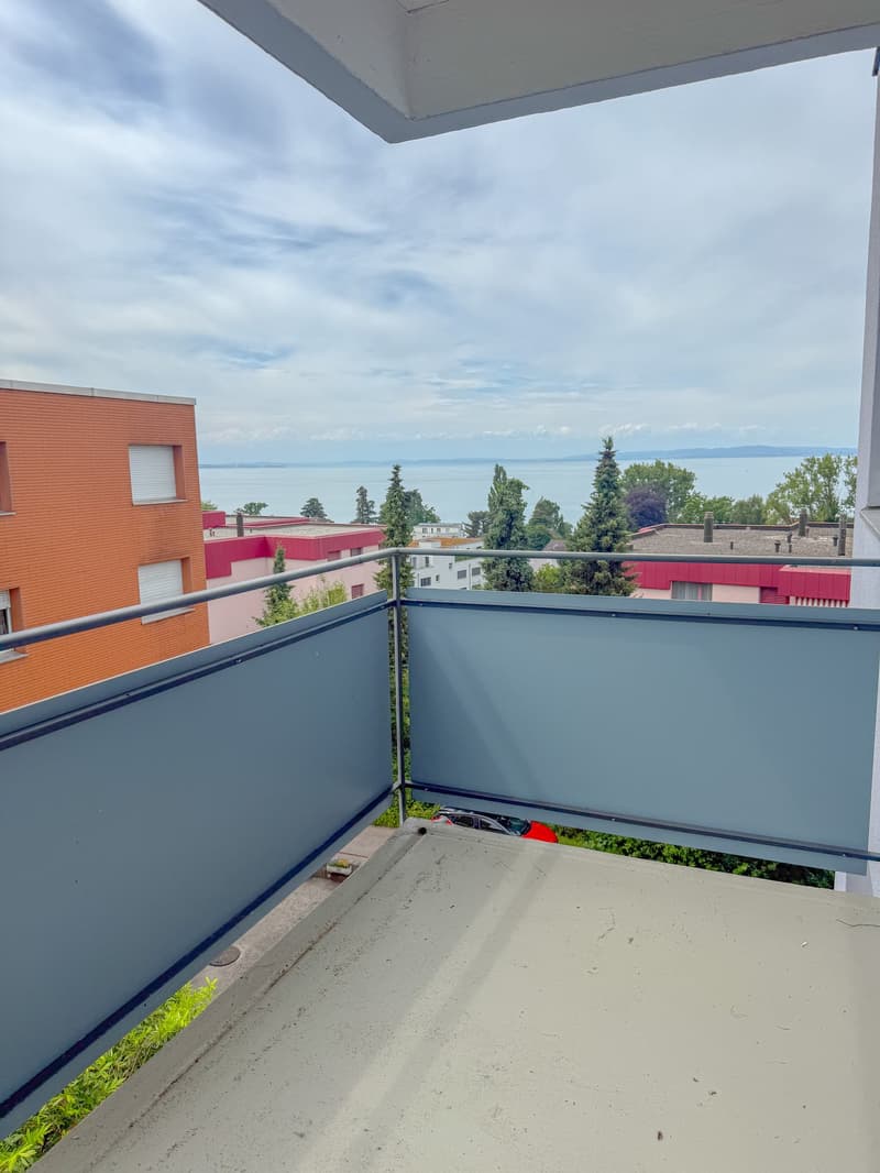 Charmante 4.5-Zimmer-Wohnung mit Balkon und schöner Aussicht in Rorschacherberg (1)