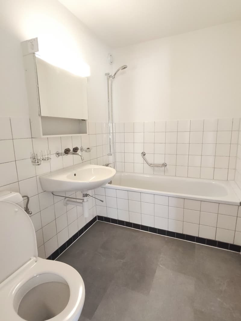 Helle neu renovierte 3-Zimmer-Wohnung mit Balkon in Spiez (4)