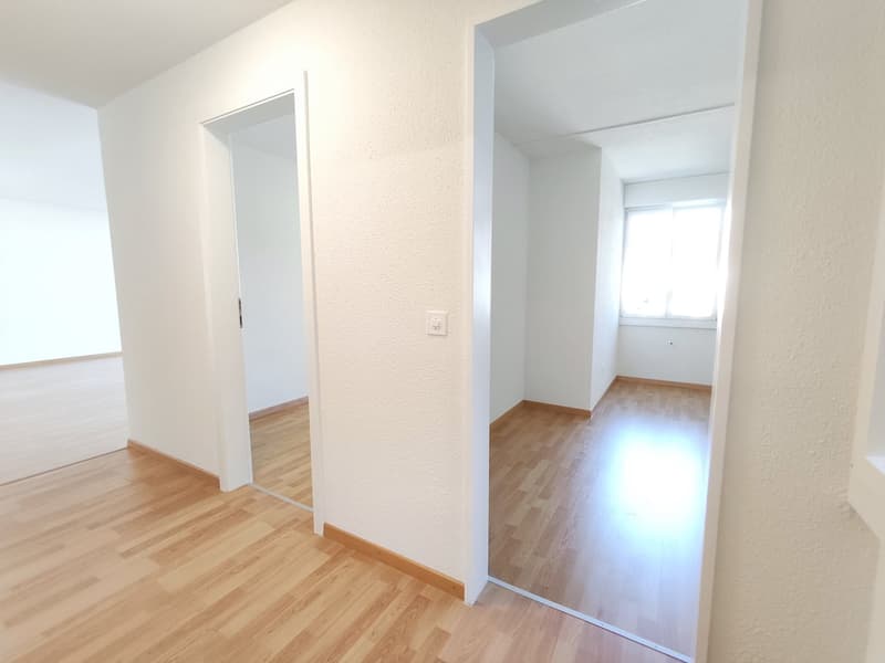 Helle neu renovierte 3-Zimmer-Wohnung mit Balkon in Spiez (8)