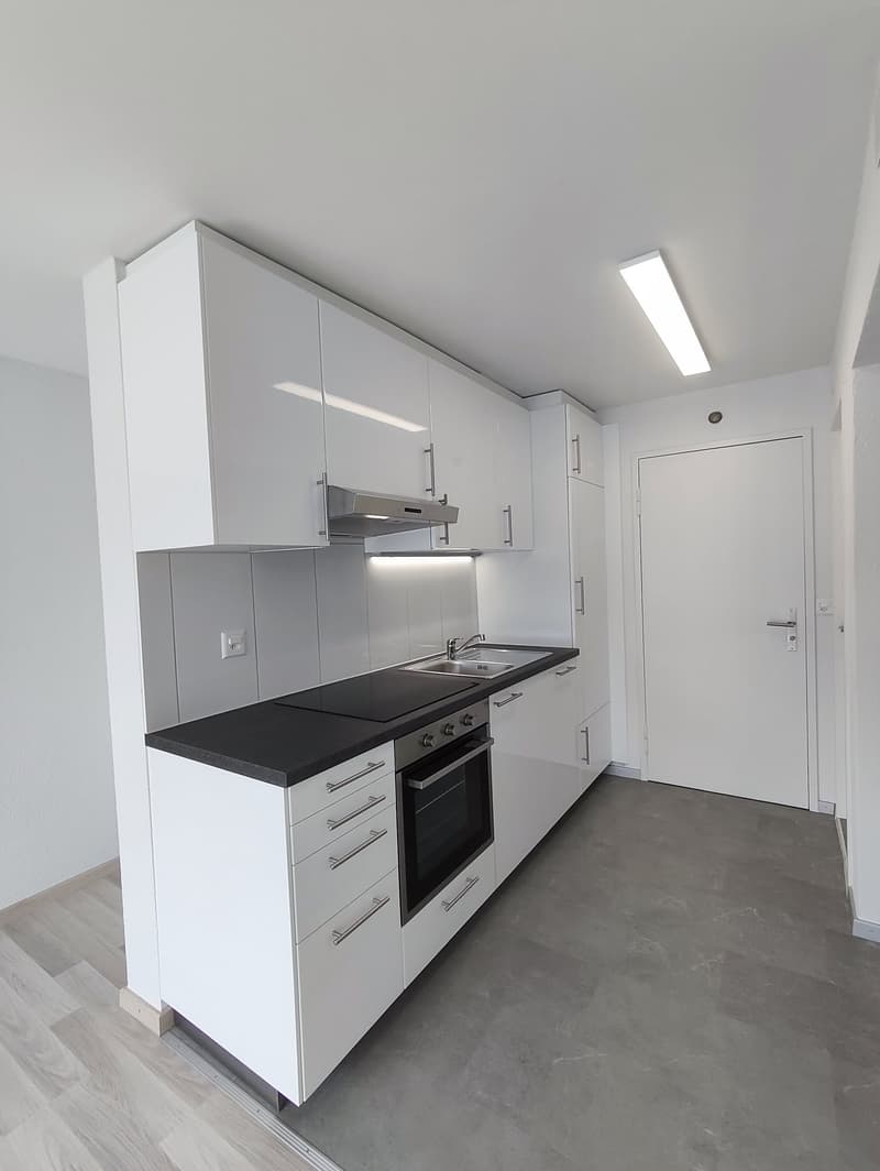 Charmante 3-Zimmer-Wohnung mit Seeblick in Oberhofen am Thunersee (3)