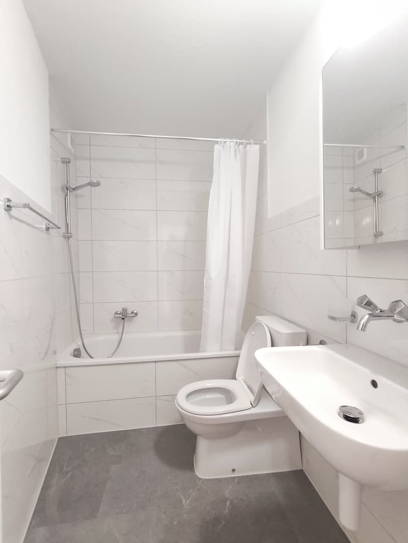 neu renovierte 1-Zimmerwohnung in Kleinbasel (5)