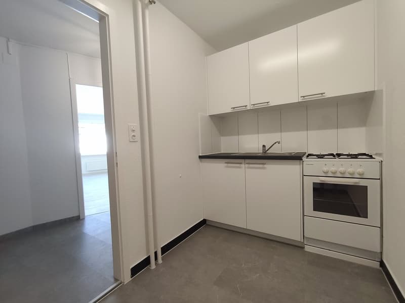 neu renovierte 1-Zimmerwohnung in Kleinbasel (3)