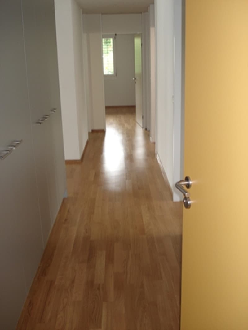 Helle, moderne, Wohnung mit sehr grossem Balkon 30.9m2 (1)