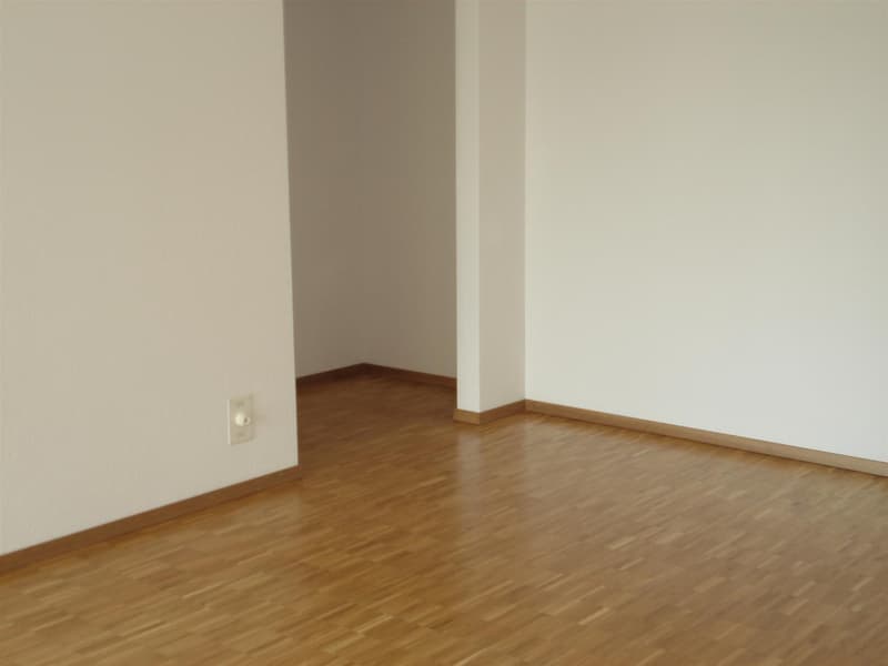 Moderne, helle 3,5 Zimmerwohnung mit grossem Balkon (7)
