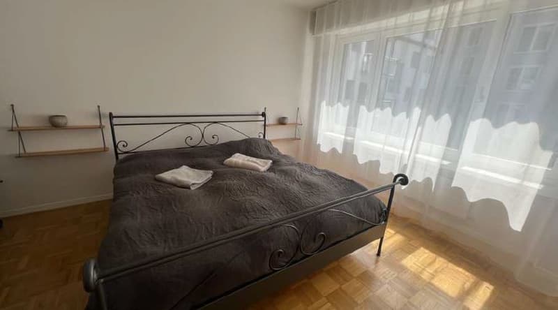2 Zimmerwohnung 10 Gehminuten vom HB Zürich entfernt (5)