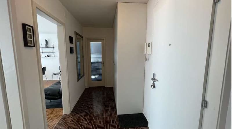 2 Zimmerwohnung 10 Gehminuten vom HB Zürich entfernt (3)