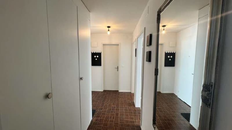 2 Zimmerwohnung 10 Gehminuten vom HB Zürich entfernt (2)