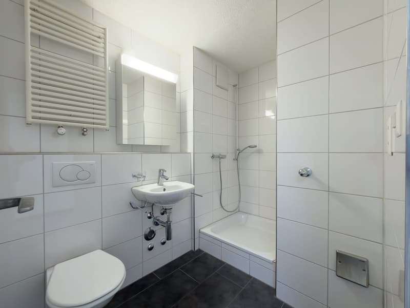 Schöne helle 4.5-Zimmer-Attikawohnung mit Terrasse (24)