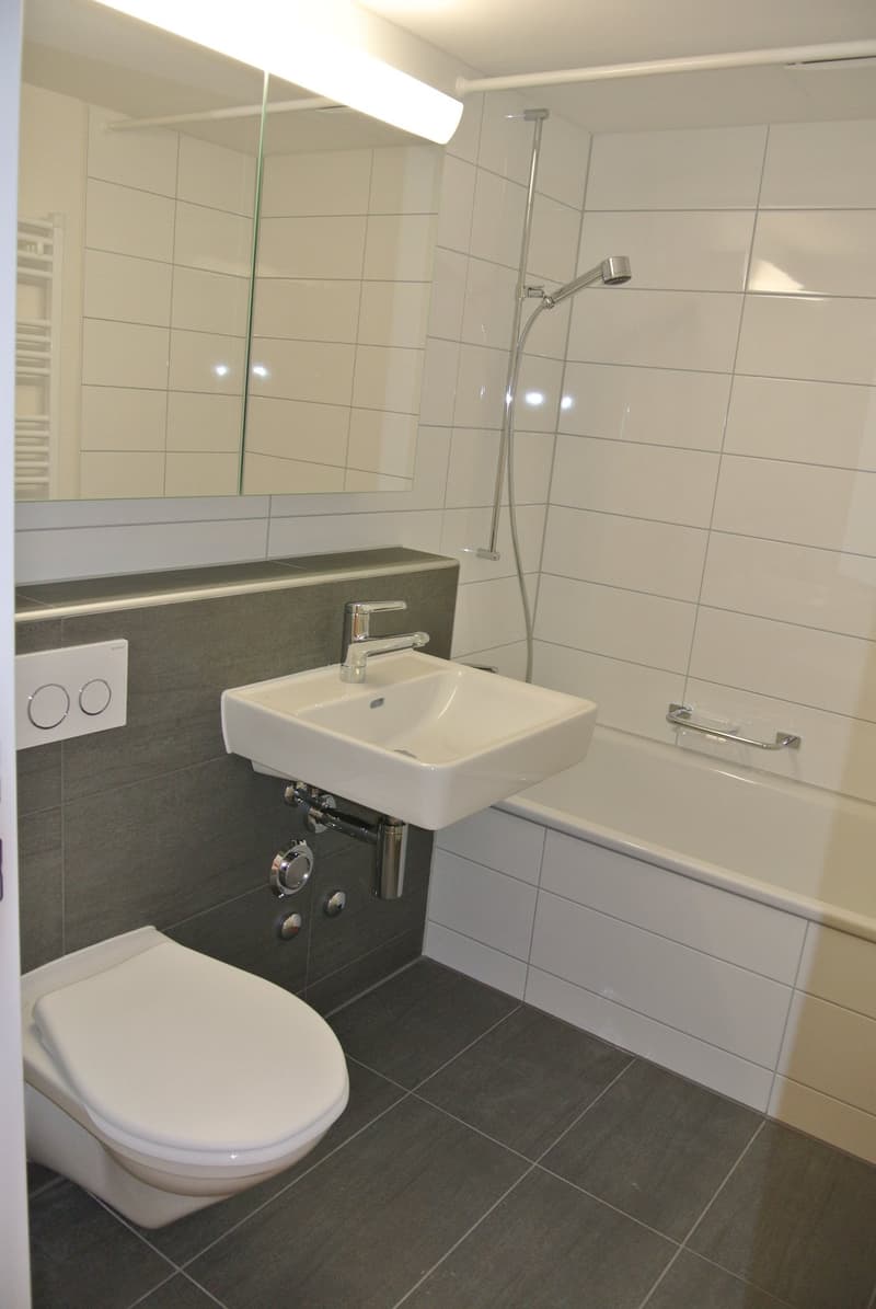 Schöne 3.5 Zimmerwohnung im 1. OG (4)