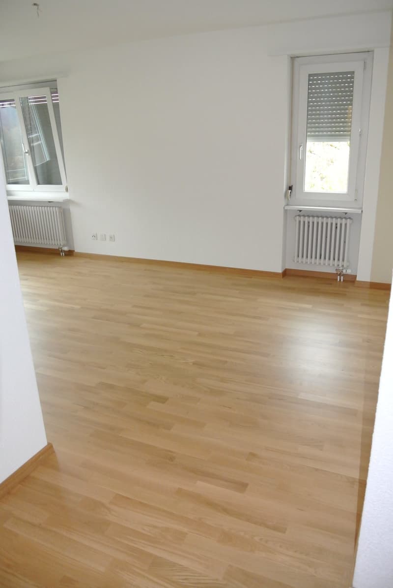 Schöne helle, 2,5 Zimmerwohnung (10)