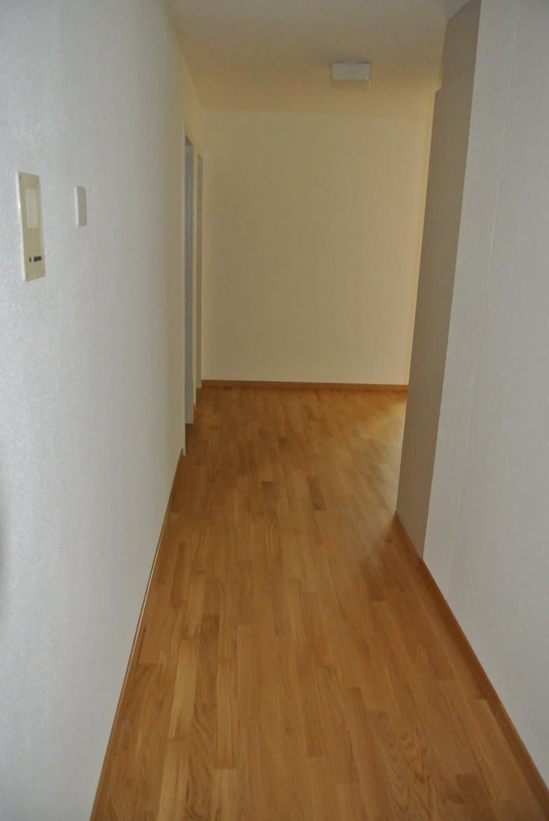 Schöne helle, 2,5 Zimmerwohnung (7)