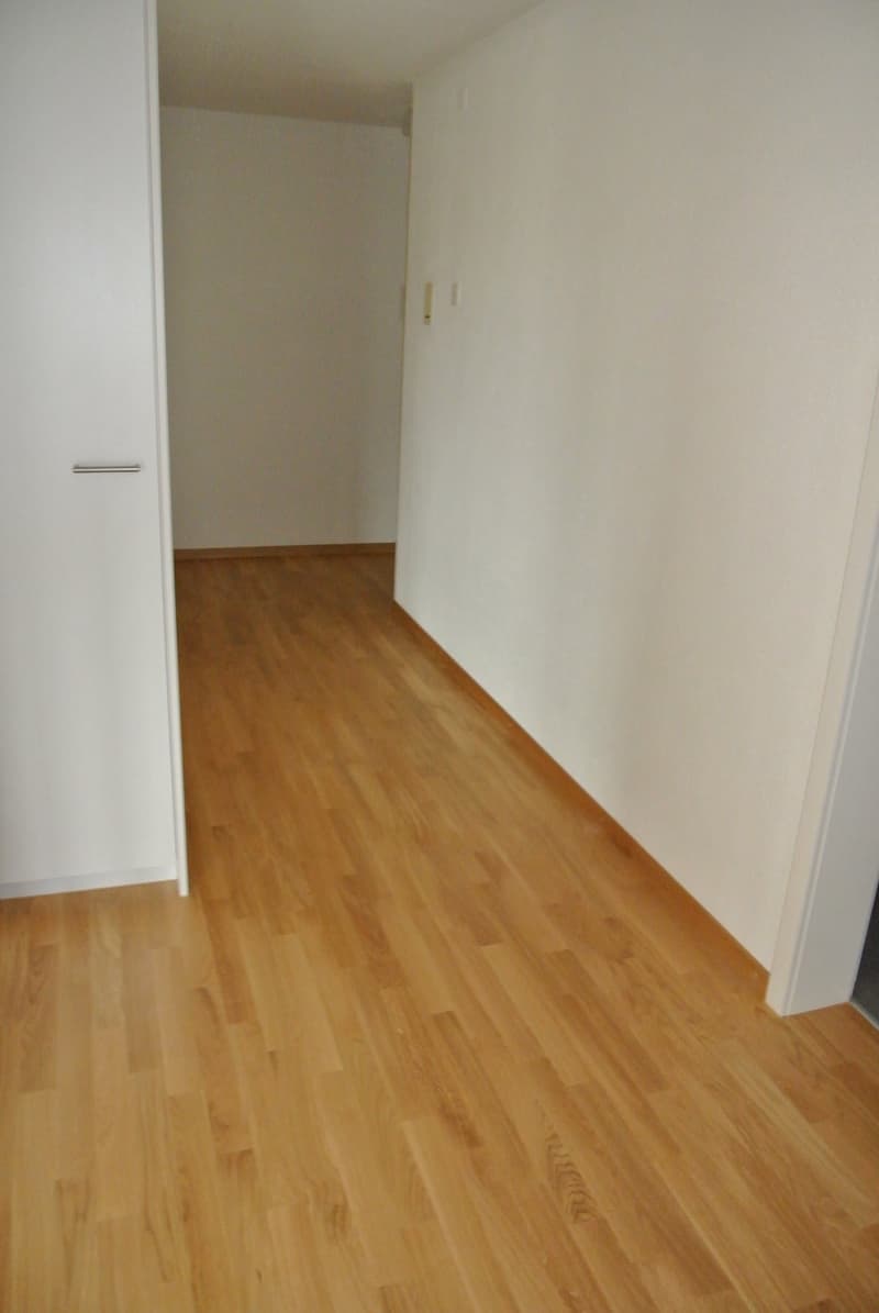 Schöne helle, 2,5 Zimmerwohnung (6)