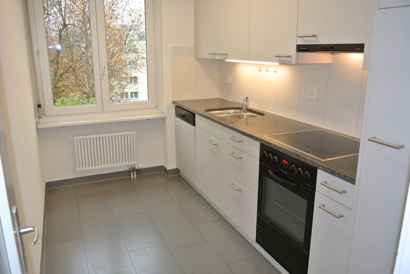 Schöne helle, 2,5 Zimmerwohnung (4)