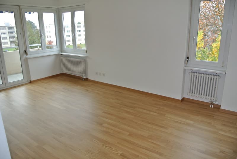 Schöne helle, 2,5 Zimmerwohnung (9)
