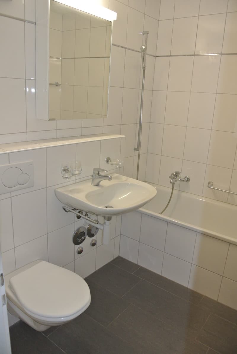 Schöne helle, 2,5 Zimmerwohnung (5)