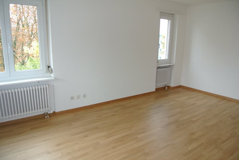 Schöne helle, 2,5 Zimmerwohnung (11)