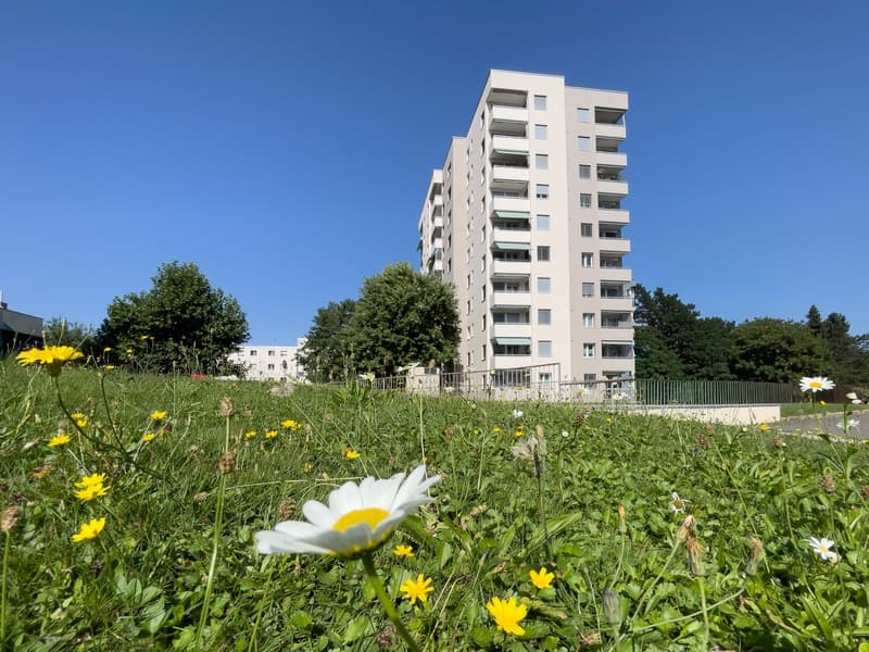 Schöne helle, 2,5 Zimmerwohnung (2)