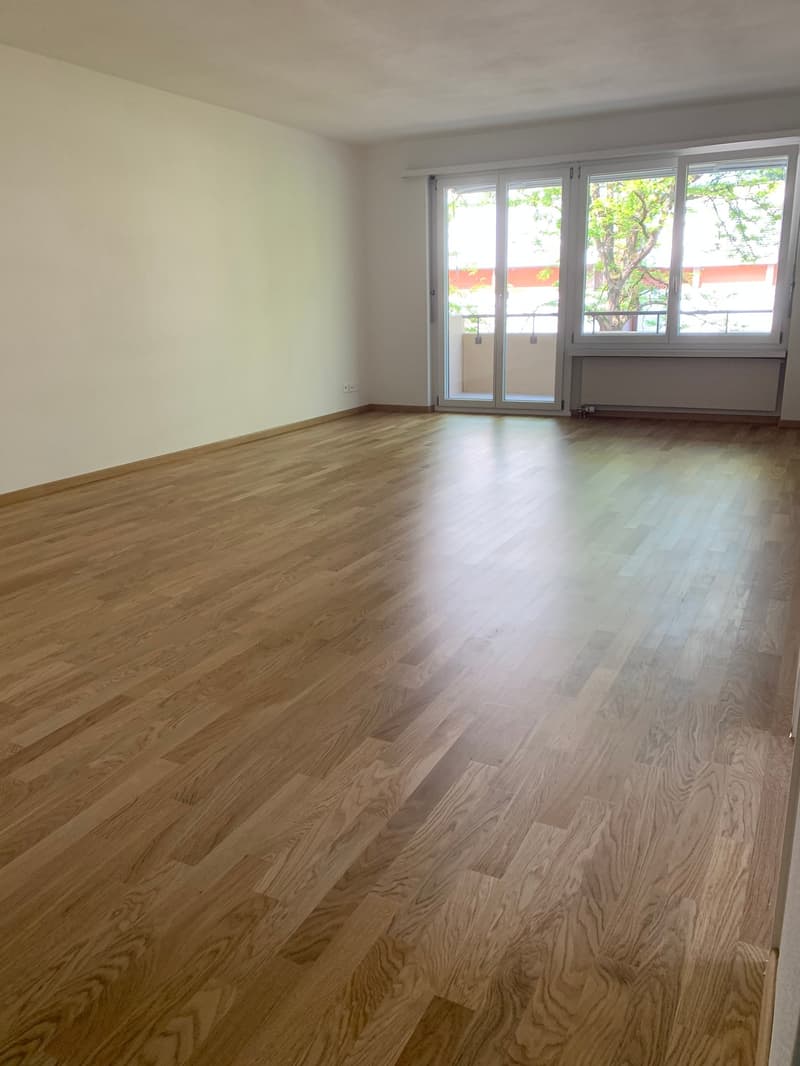 3 Zi. Terrassenwohnung, stadtnah, an sehr guter Lage! (13)
