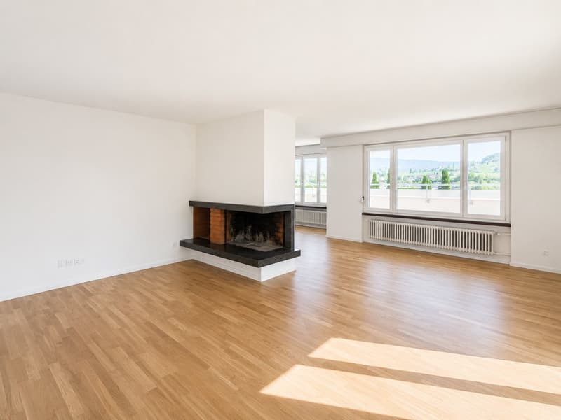 Schöne helle 4.5-Zimmer-Attikawohnung mit Terrasse (16)