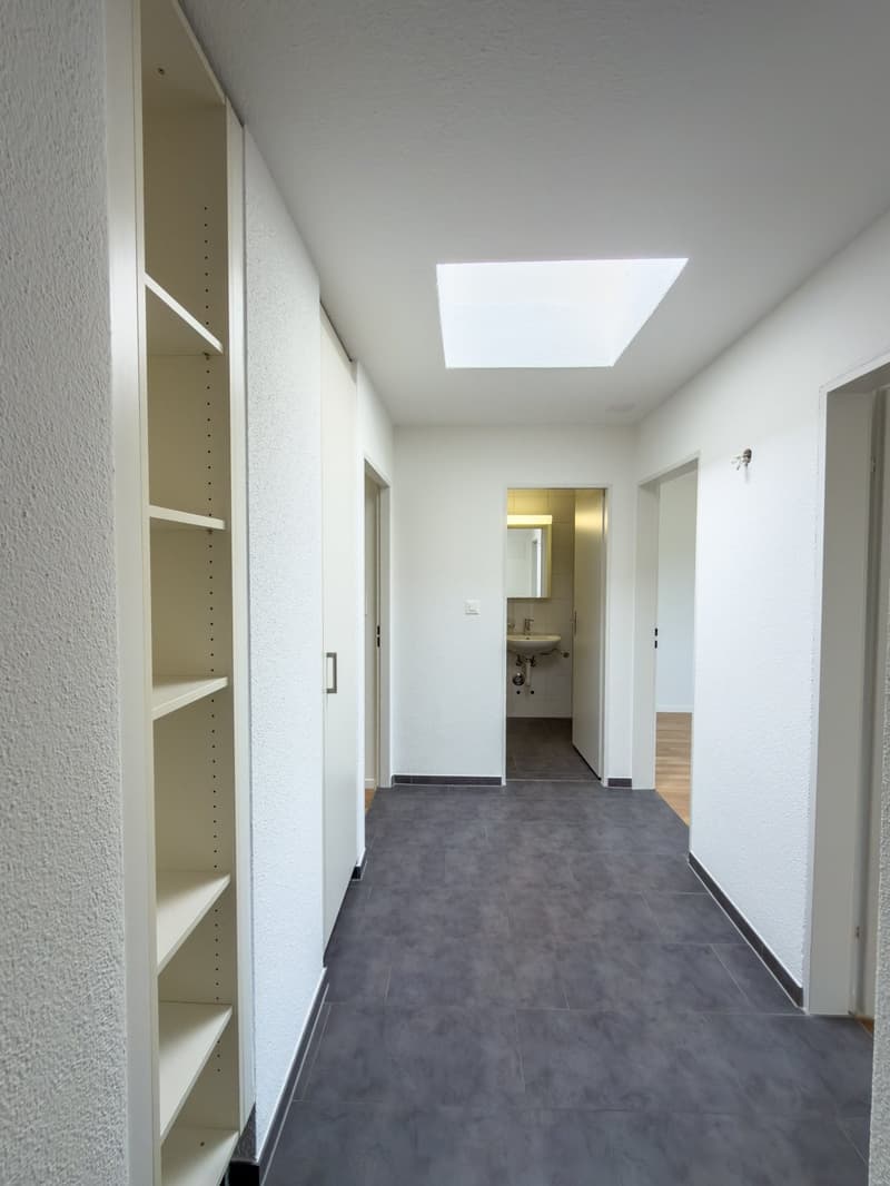 Schöne helle 4.5-Zimmer-Attikawohnung mit Terrasse (23)