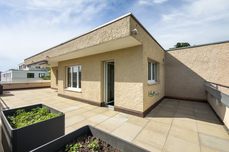 Schöne helle 4.5-Zimmer-Attikawohnung mit Terrasse (3)