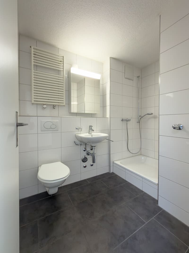 Schöne helle 4.5-Zimmer-Attikawohnung mit Terrasse (17)