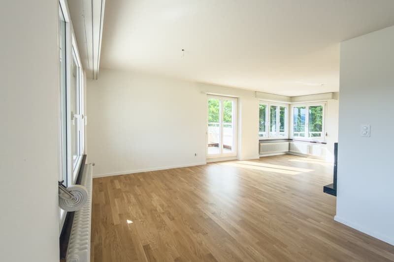 Schöne helle 4.5-Zimmer-Attikawohnung mit Terrasse (14)