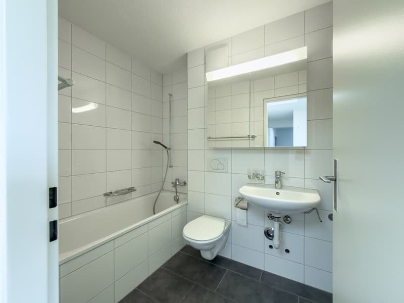Schöne helle 4.5-Zimmer-Attikawohnung mit Terrasse (20)